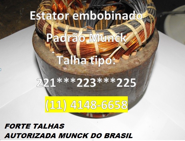 Foto 1 - Estator embobinado para talhas munck